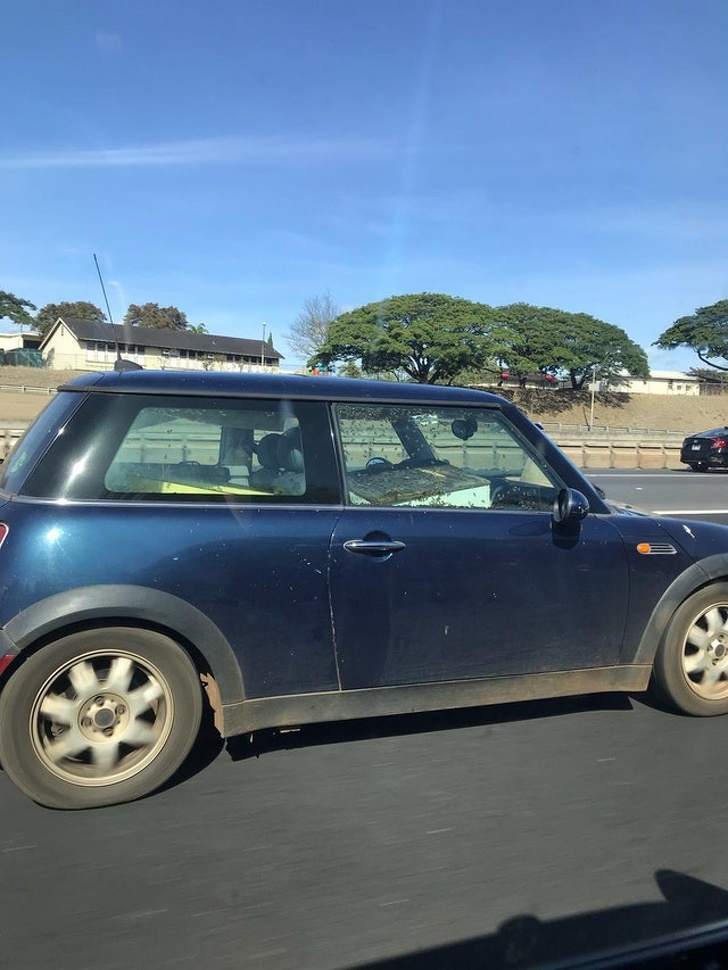 Illustration de l'article : Ces 21 photos qui montrent que l'Homme et la nature sont parfois incompris