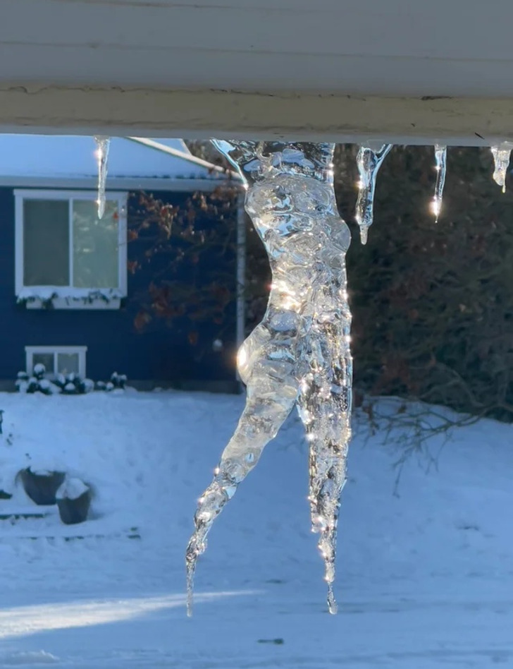 Illustration de l'article : Ces 19 photos qui illustrent les traits d'humour du quotidien