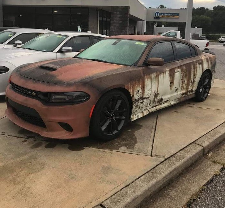 Illustration de l'article : Ces 15 choses que l'on peut désormais voir sur Internet