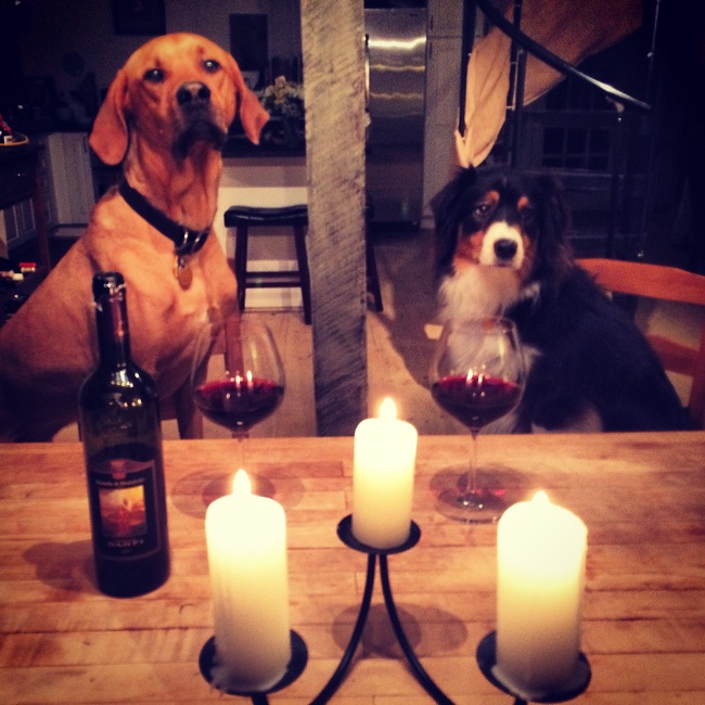 Illustration de l'article : Ces 19 photos de personnes ayant fait quelque chose de romantique