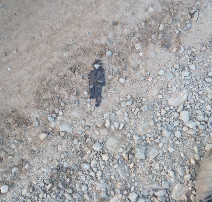 Illustration de l'article : Ces 18 fois où le hasard a bien fait les choses