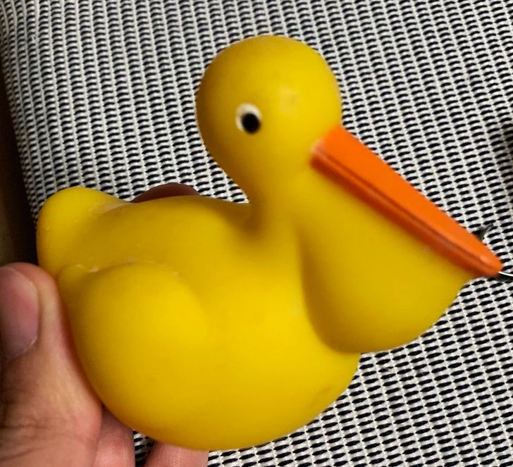 Illustration de l'article : Ces 17 photos qui illustrent des ratages de designers