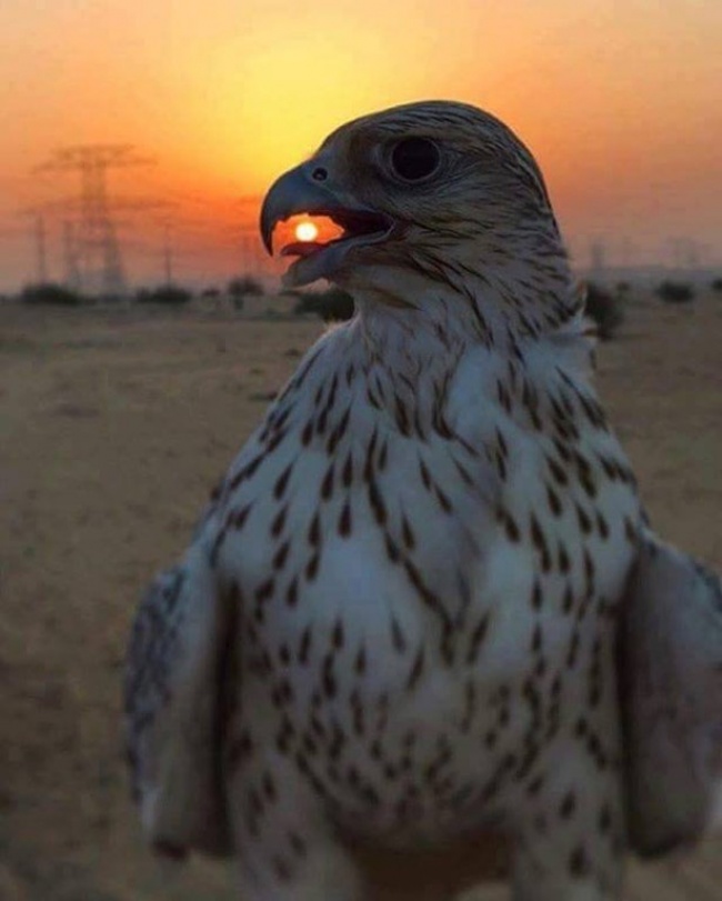 Illustration de l'article : 32 photographes qui ont magnifiquement réussi à suspendre le temps !