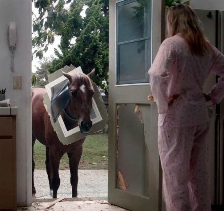 Illustration de l'article : Ces 25 personnes qui vivent une journée dont ils se souviendront longtemps