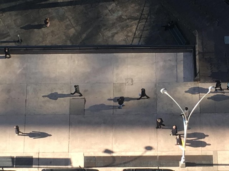 Illustration de l'article : Ces 18 photos prises à l'instant qu'il fallait