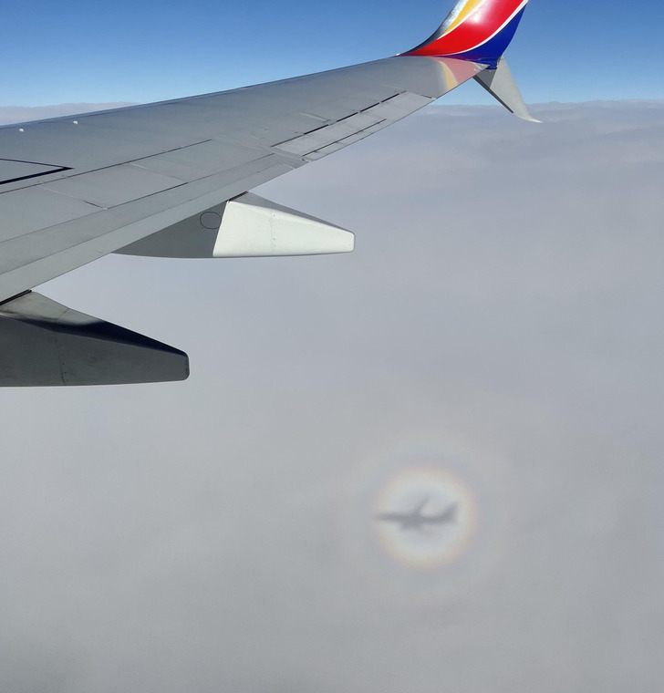 Illustration de l'article : Ces 16 photos qui illustrent les tournures amusantes du quotidien