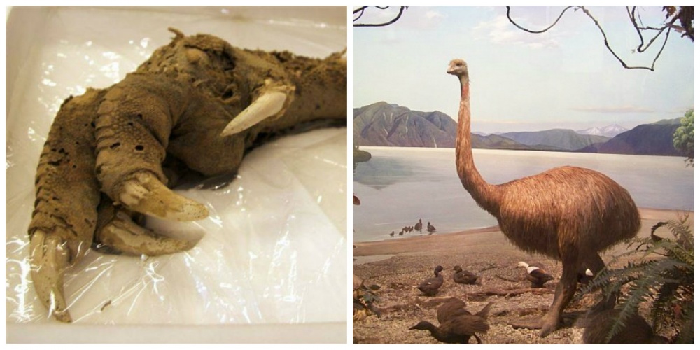 Illustration de l'article : 10 d&eacute;couvertes qui n&rsquo;ont jamais pu &ecirc;tre expliqu&eacute;es