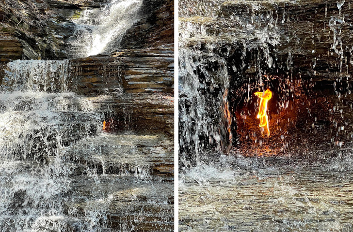 Illustration de l'article : Ces 16 choses inhabituelles créées par la nature