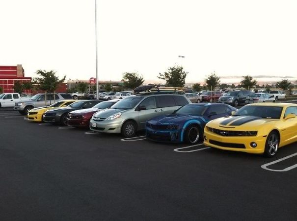 Illustration de l'article : Qui a vraiment le niveau pour trouver l'intrus sur ces 100 photos ? 