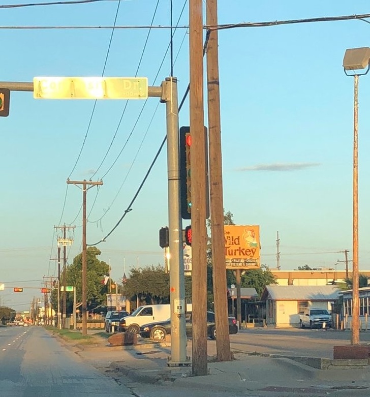 Illustration de l'article : Ces 21 photos qui ont le don de mettre les nerfs à rude épreuve