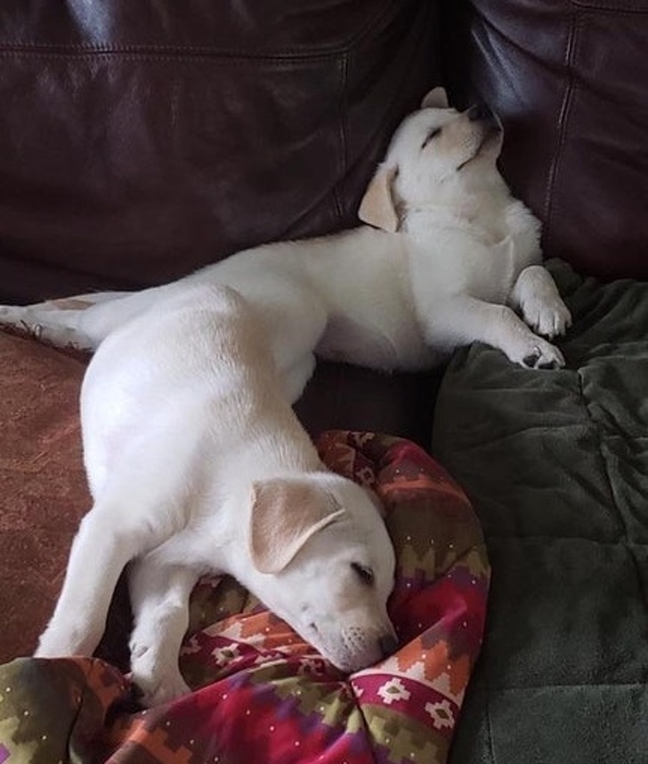 Illustration de l'article : Ces 15 coïncidences montrent que le hasard est troublant