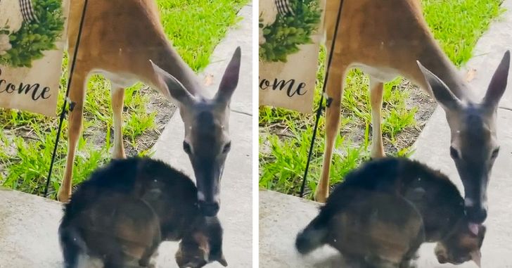 Illustration de l'article : Ces 20 photos qui montrent que certaines personnes adorent l'humour