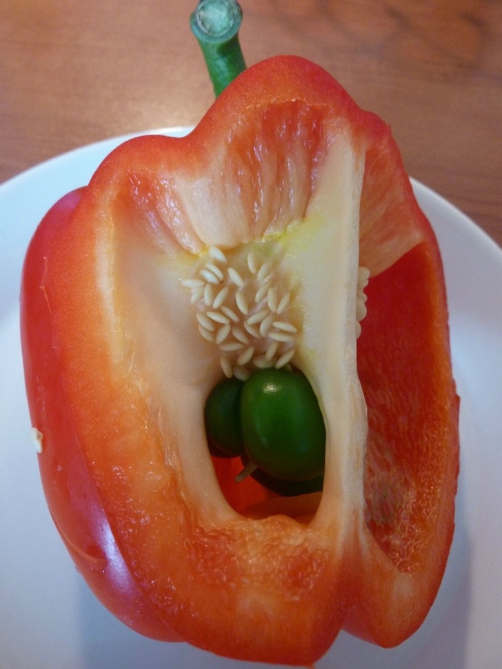 Illustration de l'article : Ces 15 photos qui remettent beaucoup de choses en question