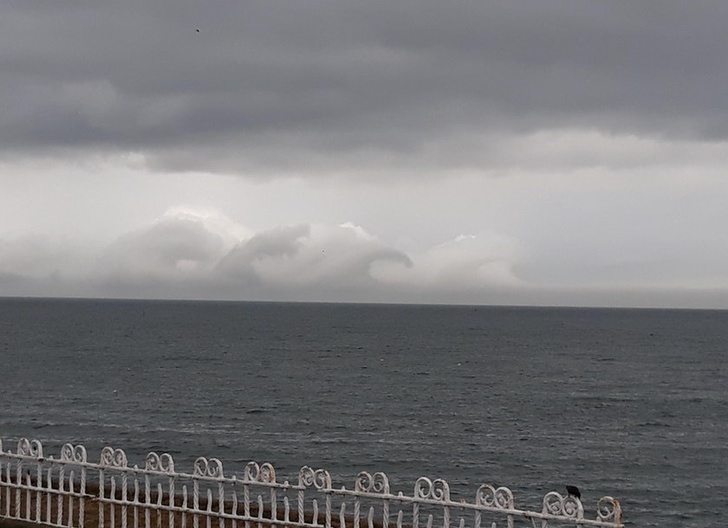 Illustration de l'article : Ces 20 curiosités qui trompent l'esprit en ressemblant à quelque chose d'autre