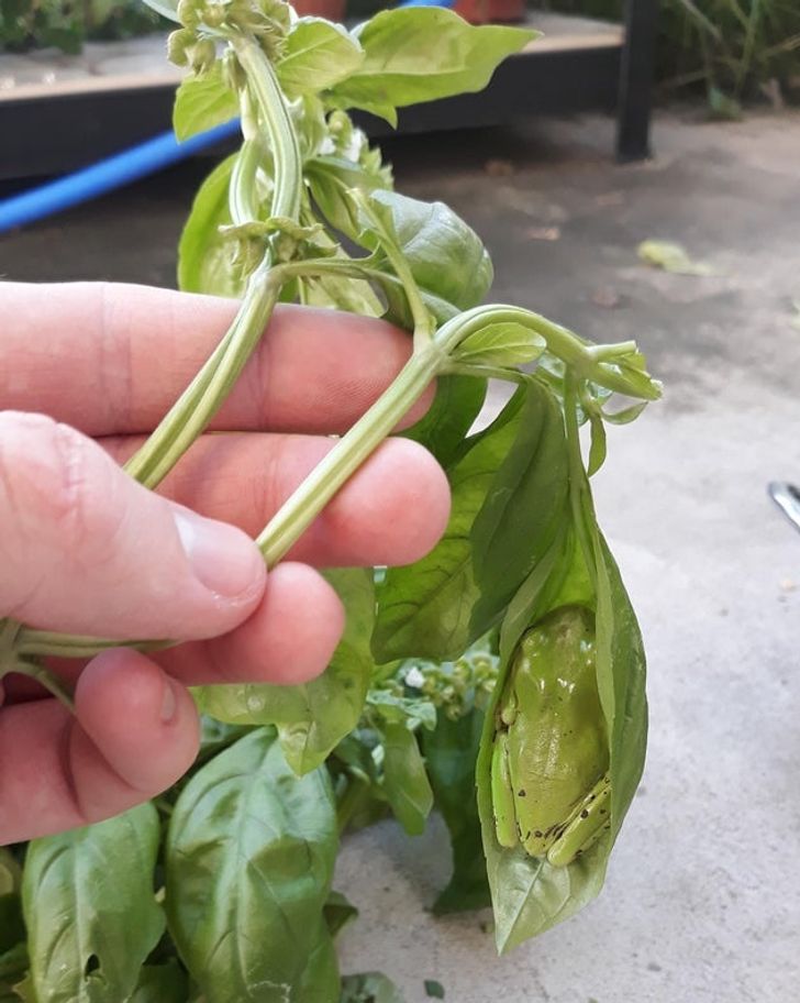 Illustration de l'article : Ces 20 internautes qui ont partagé leurs découvertes sur Internet