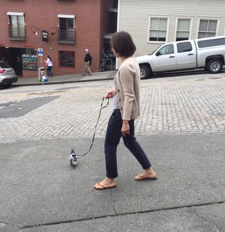 Illustration de l'article : Ces 20 photos de faits dont nous n'avons pas d'explication