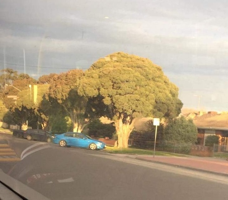 Illustration de l'article : Ces 17 photos étranges et sans retouche ont fait le buzz sur le net