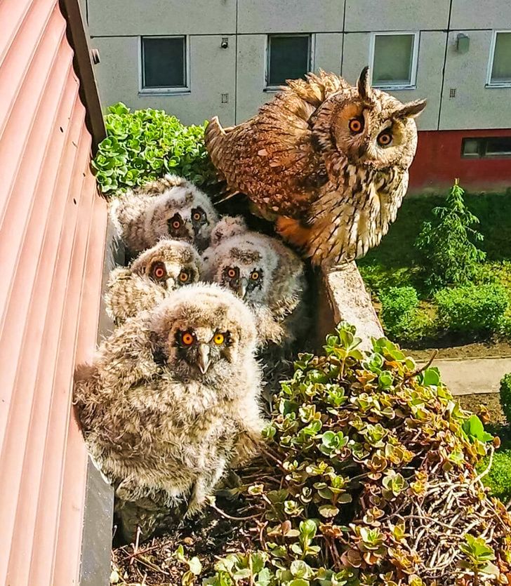 Illustration de l'article : Ces 18 personnes qui ont fait de drôles de découvertes dans leur maison