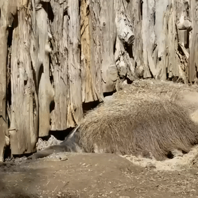 These 25 Unique Things To See Once In A Lifetime