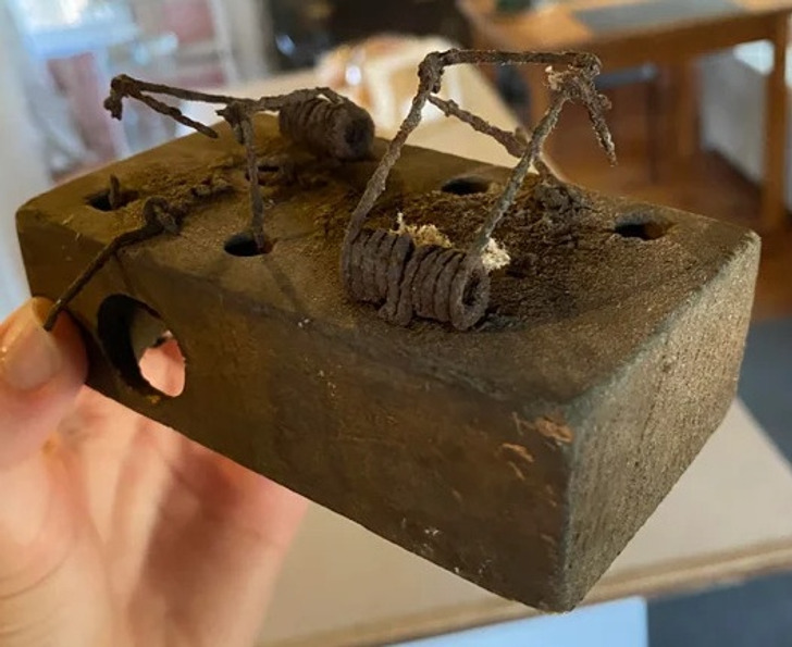 Illustration de l'article : Ces 20 photos de tr&eacute;sors d&eacute;couverts lors de r&eacute;novations