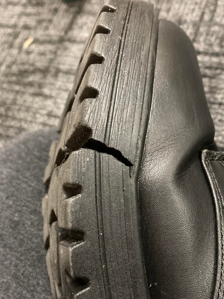 Illustration de l'article : Ces 15 photos qui mettent la patience à rude épreuve