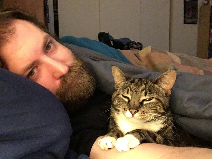 Illustration de l'article : Ces 18 photos qui peuvent être réconfortantes