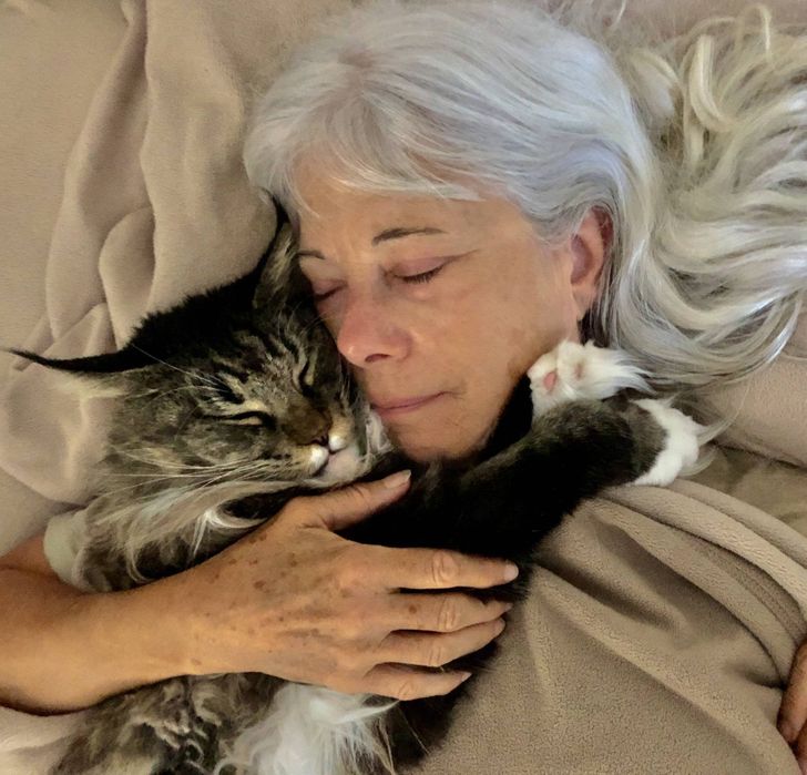 Illustration de l'article : Ces 20 photos qui montrent que les animaux sont de bons compagnons