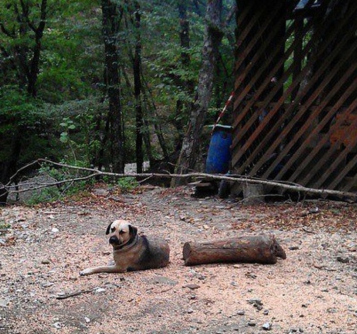 Illustration de l'article : Ces 16 photos qui jouent des tours au cerveau