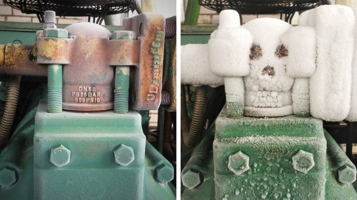 Illustration de l'article : Ces 23 situations où le hasard a bien fait les choses