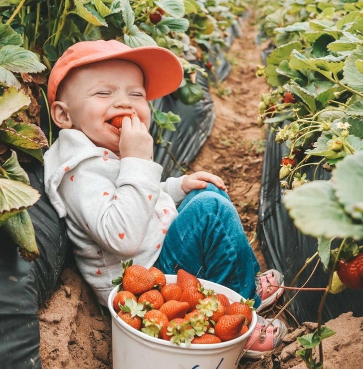 Illustration de l'article : Ces 22 photos saisies au bon moment