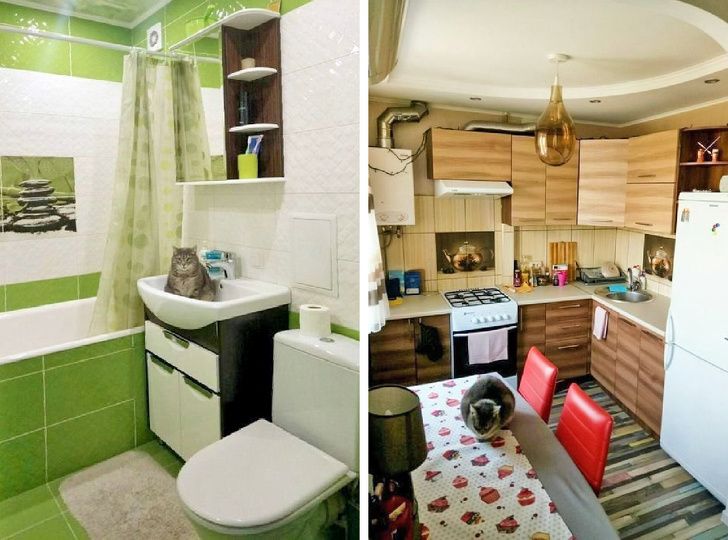 Illustration de l'article : Ces 18 personnes qui ont fait de drôles de découvertes dans leur maison