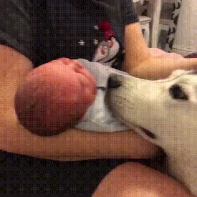 Illustration de l'article : 26 personnes qui ont démarré l’année de la meilleure des façons