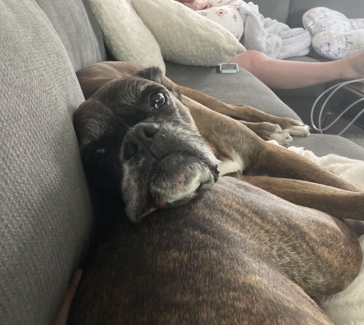 Illustration de l'article : Ces 20 photos qui montrent que tout est question d'angle de vue