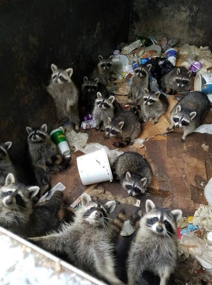 Illustration de l'article : Ces 17 personnes qui ont une bonne entente avec leurs collègues