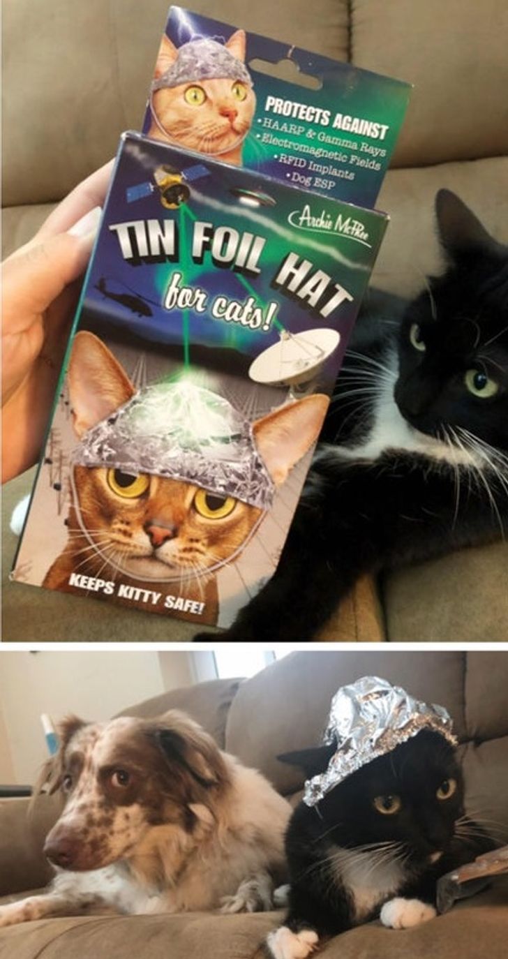 Illustration de l'article : Ces 15 designers qui ont eu de drôles d'idées