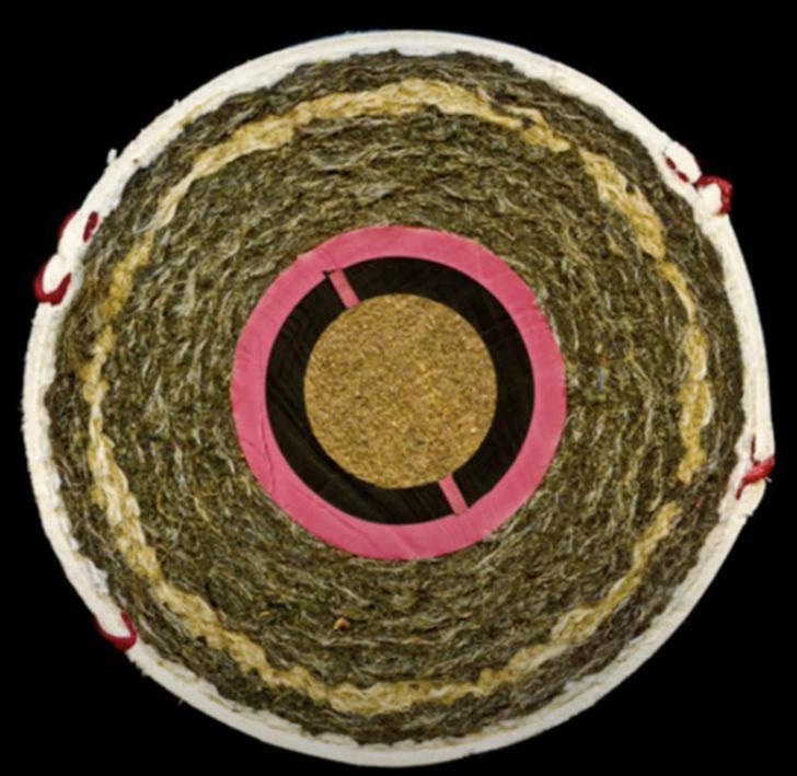 Illustration de l'article : Ces 15 surprises comme seule la nature peut en faire