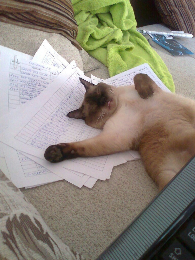 Illustration de l'article : Ces 22 photos qui résument bien ce qu'est la fatigue