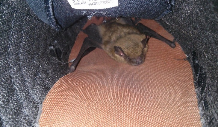 Illustration de l'article : Ces 17 ratés dès le lever du lit qui annoncent une journée compliquée