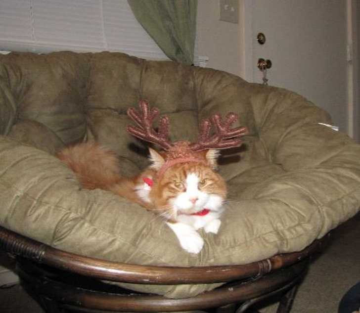 Illustration de l'article : Ces 17 familles dans lesquelles vous devez toujours surveiller vos arri&egrave;res