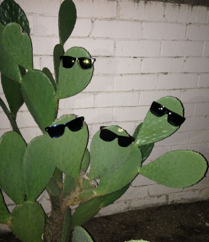 Illustration de l'article : Ces 20 photos de personnes ayant eu une idée ridicule ce jour-là