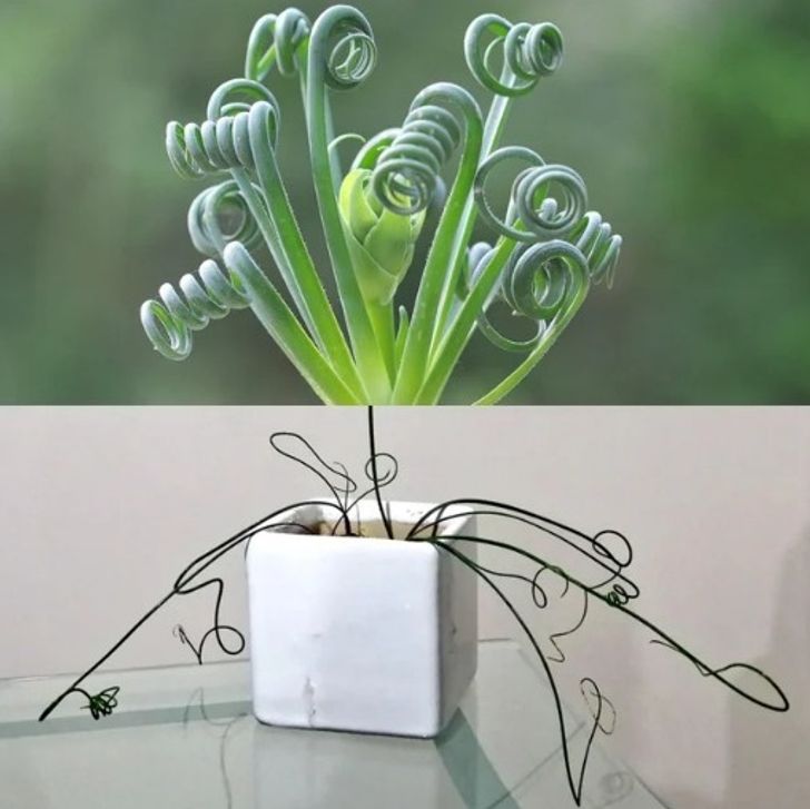 Illustration de l'article : Ces 20 personnes qui ont regretté leurs achats