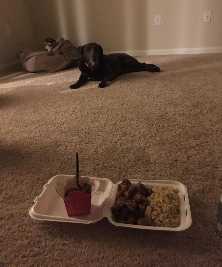 Illustration de l'article : Ces 23 personnes qui ont réussi à réaliser leur rêve