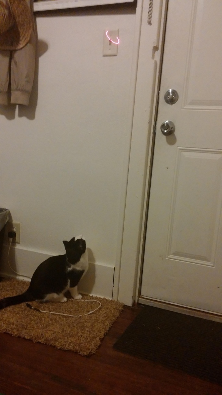 Illustration de l'article : Ces 21 personnes paresseuses rivalisent d'idées pour en faire le moins possible