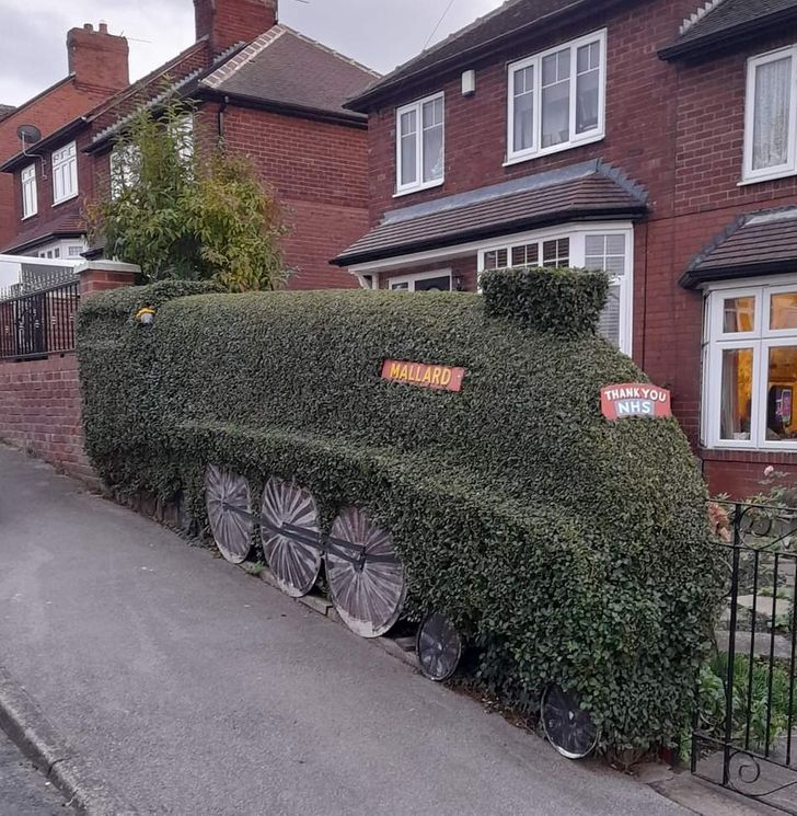 Illustration de l'article : Ces 20 idées d'inventeurs qui sortent du rang de l'ordinaire