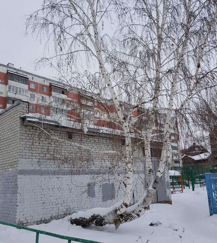 Illustration de l'article : Ces 14 photos qui montrent la puissance de la nature