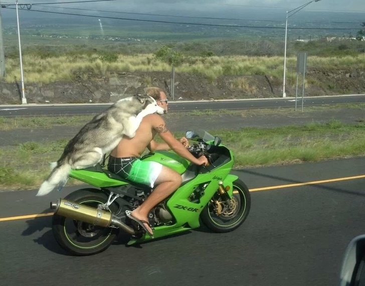 Illustration de l'article : Ces 20 drôles de personnes croisées sur les routes