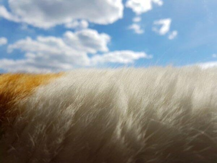 Illustration de l'article : Ces 21 photos qui troublent la vision et font apparaître autre chose