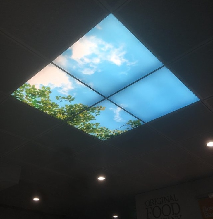 Illustration de l'article : Ces 18 cr&eacute;ations et personnes qui se diff&eacute;rencient des autres