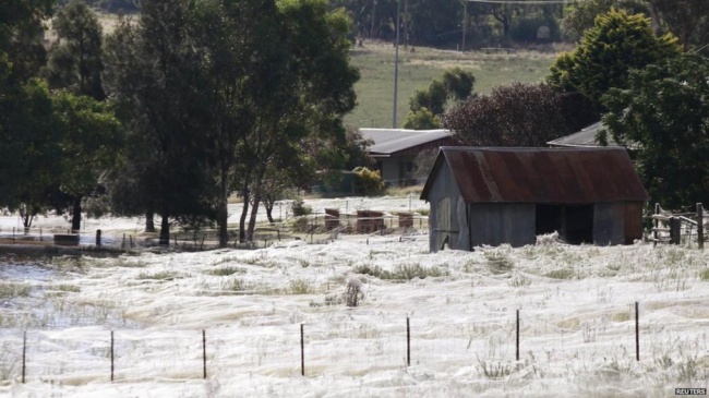 Illustration de l'article : 27 photos invraisemblables que vous n'avez probablement jamais vues