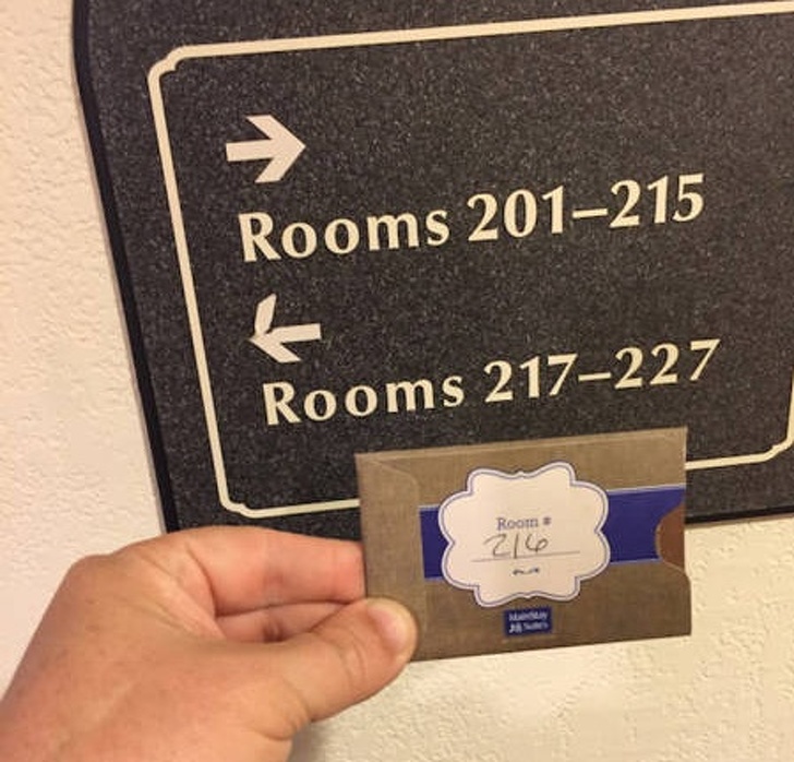 Illustration de l'article : Ces 24 journées que ces personnes voudraient recommencer